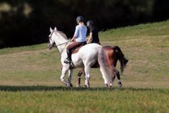 Centre equestre