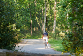 Forêt du Bourgailh