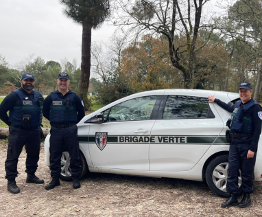 Depuis début décembre, la brigade verte intervient dans Pessac.