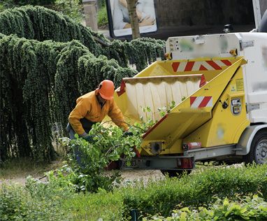 Exemple de broyage de déchets verts