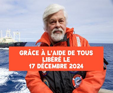 Paul Watson sur son bateau