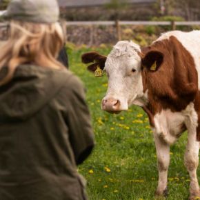 Visite à la ferme